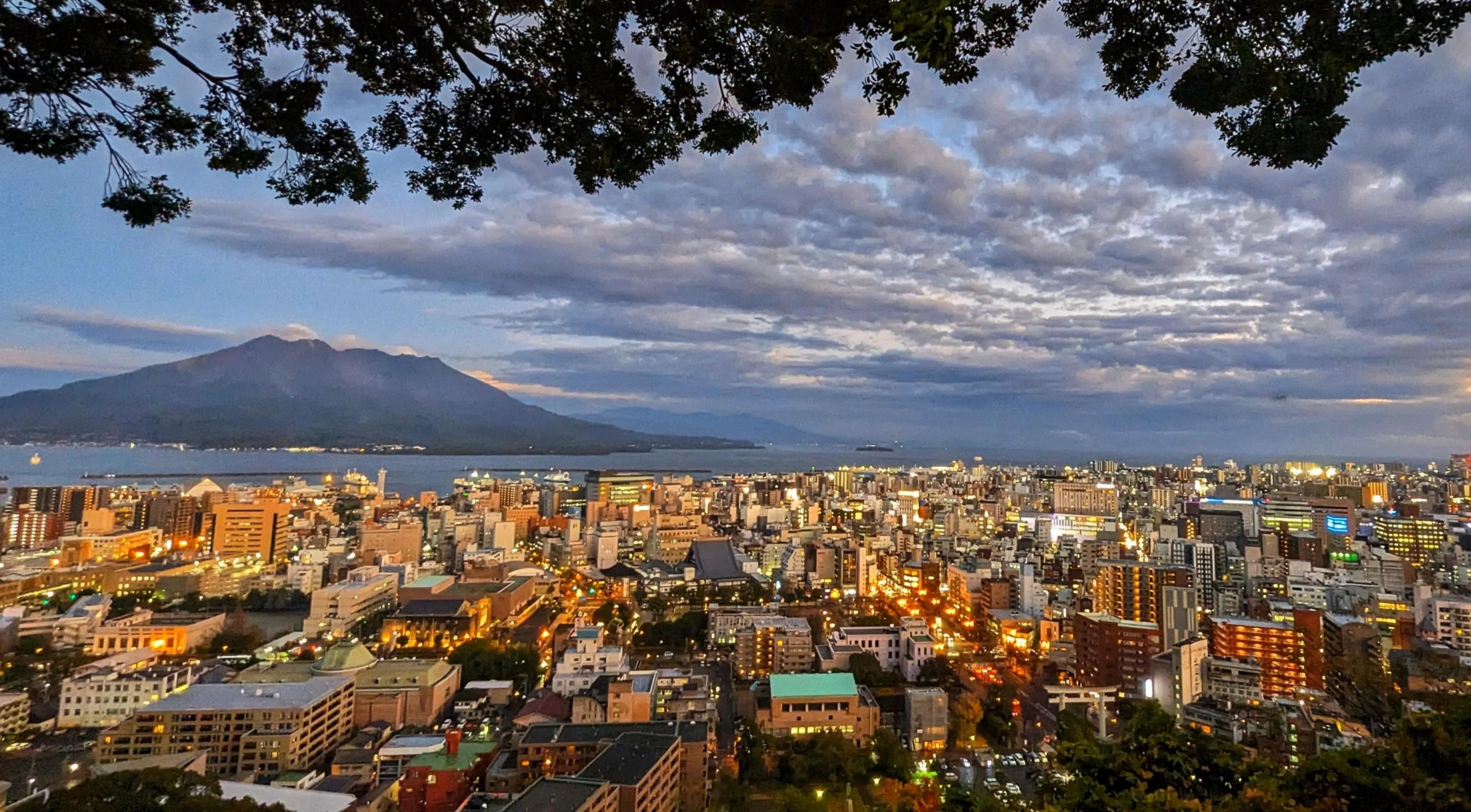 🌳 가고시마 중앙공원(가고시마 주오코엔) 이미지 5